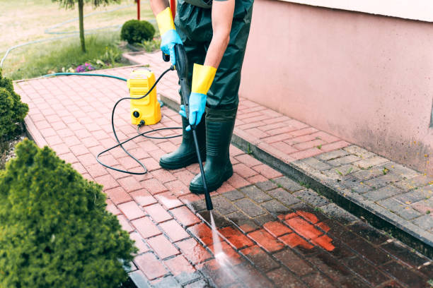 Best Sidewalk and Walkway Cleaning  in Toluca, IL